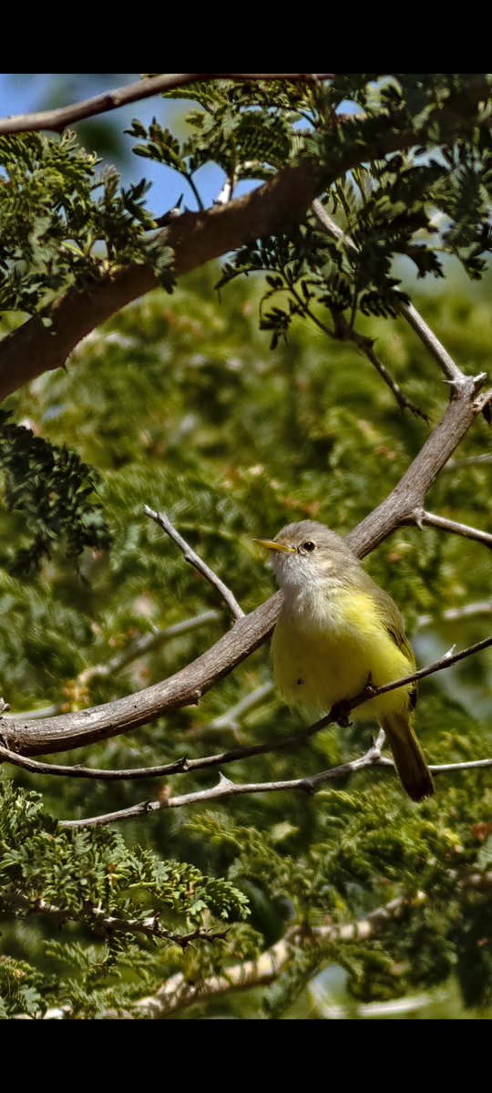 Terry Nicklin tweet media