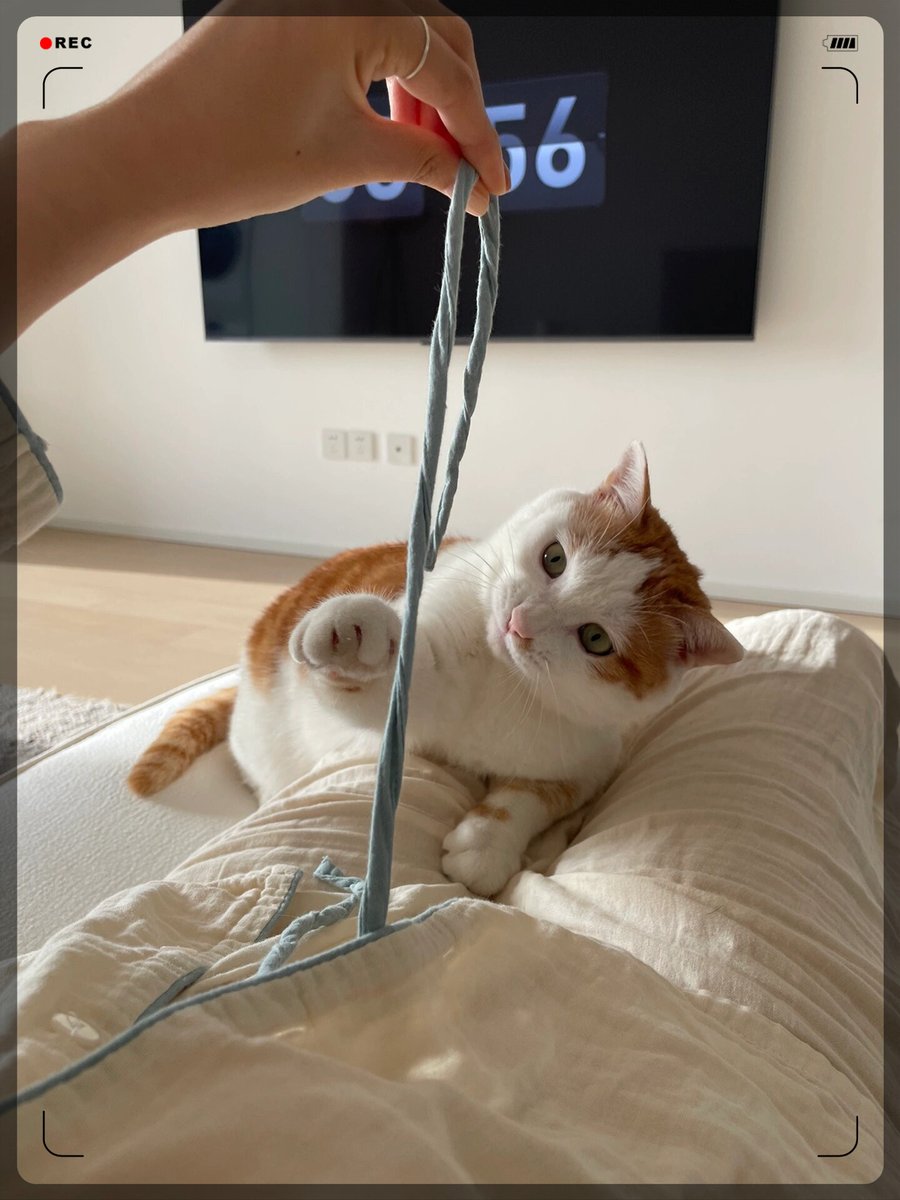 Chua Choon Sing tweet media