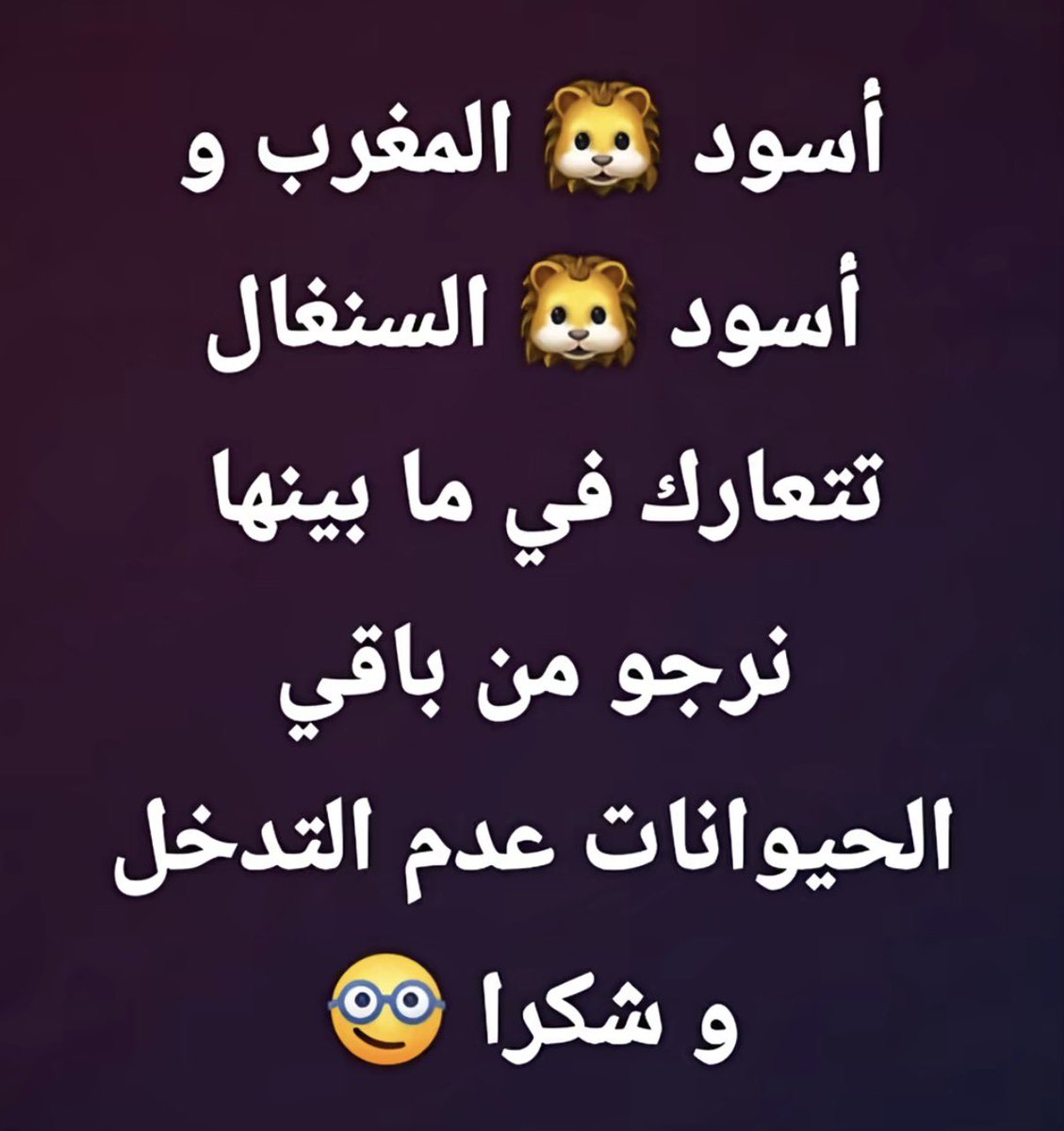 Nelly Cohen נלי כהן🇮🇱 tweet media