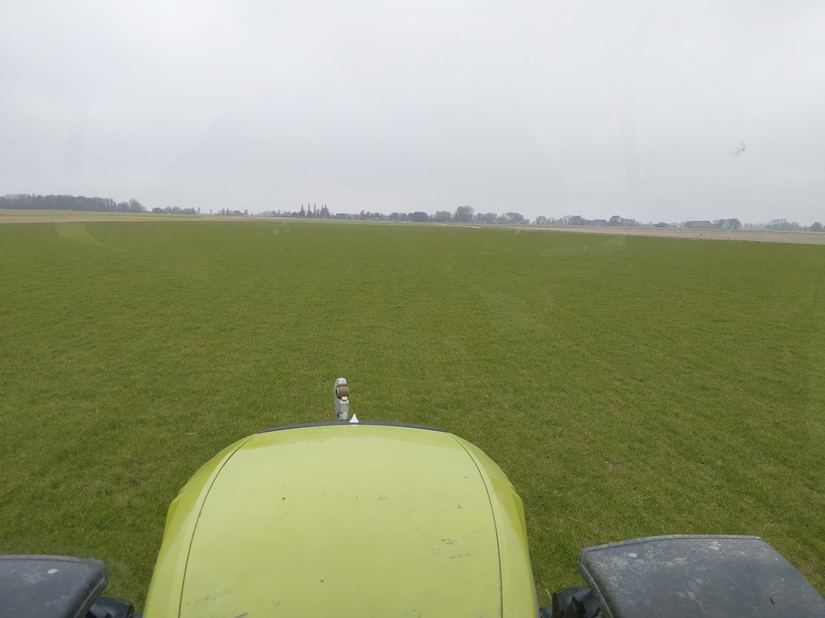 Theo Jansen tweet media