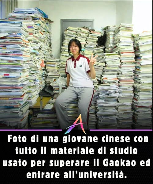 M Cristina Parlato tweet media