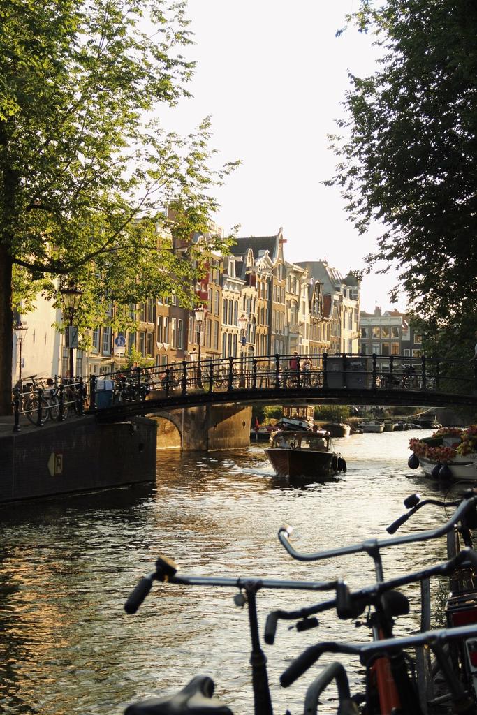 The Nature tweet media