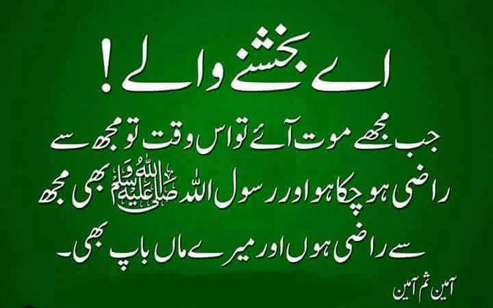 🇵🇰 عین tweet media