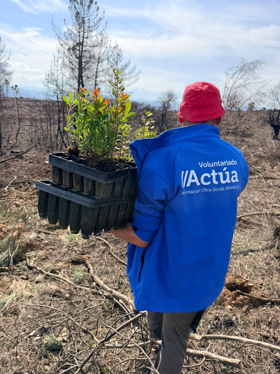 ¡Ya estamos manos a la obra en Larouco! ¡Segunda jornada de reforestación de nuestro Plan contra Incendios! Estamos plantando árboles autóctonos (castaños, encinas, alcornoques, endrinos...) en una zona donde un incendio de extrema violencia calcinó más de 30.000 hectáreas de