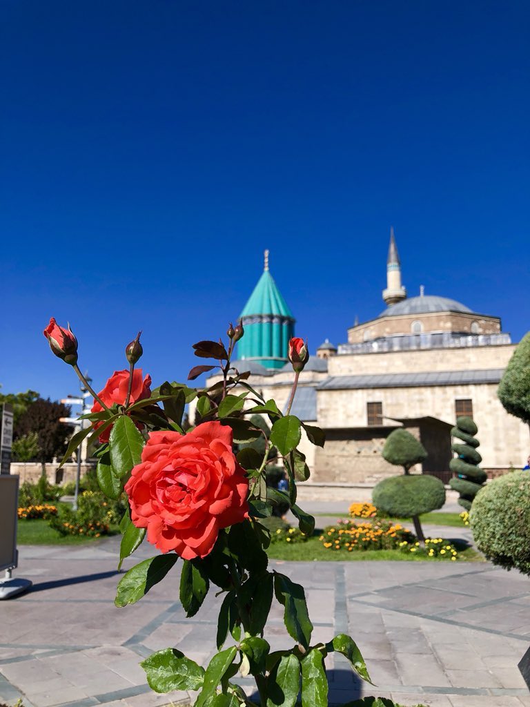 Fred Björn tweet media