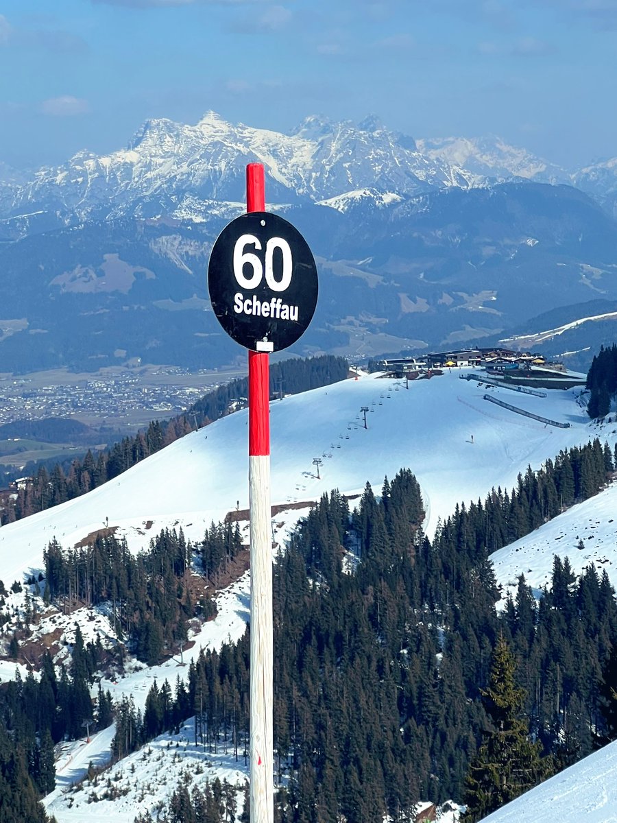 Andre Decolife 🦁 tweet media