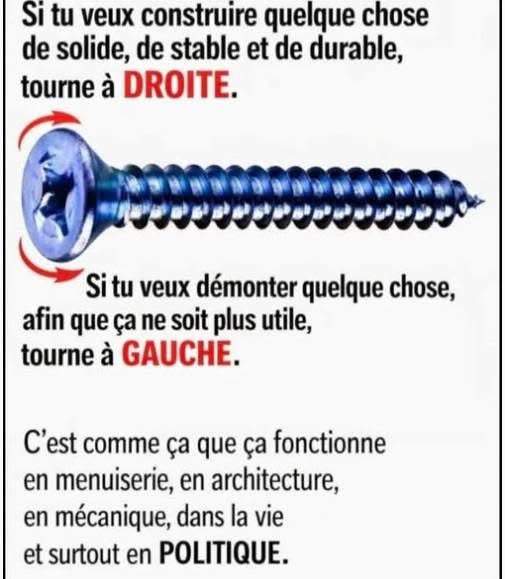 LolitA🌸🦋 tweet media