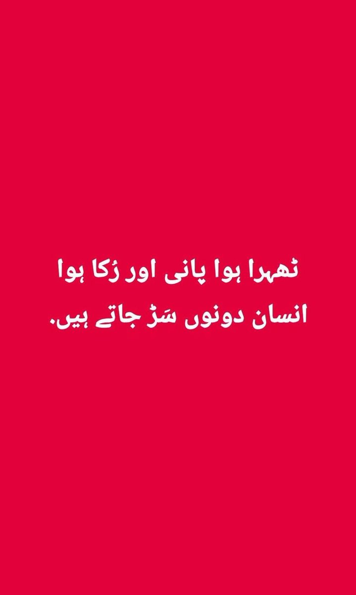 Nasir_dar101's tweet image. KEEP LIVING.
#keepmoving #keeptrading #keepinvesting 
#keepgrowing #keepthinking #keepsmiling #keepvaluesalive  #keepwalking #keeplearning #keepitup #keepgoing ........
Add some more Plz.
