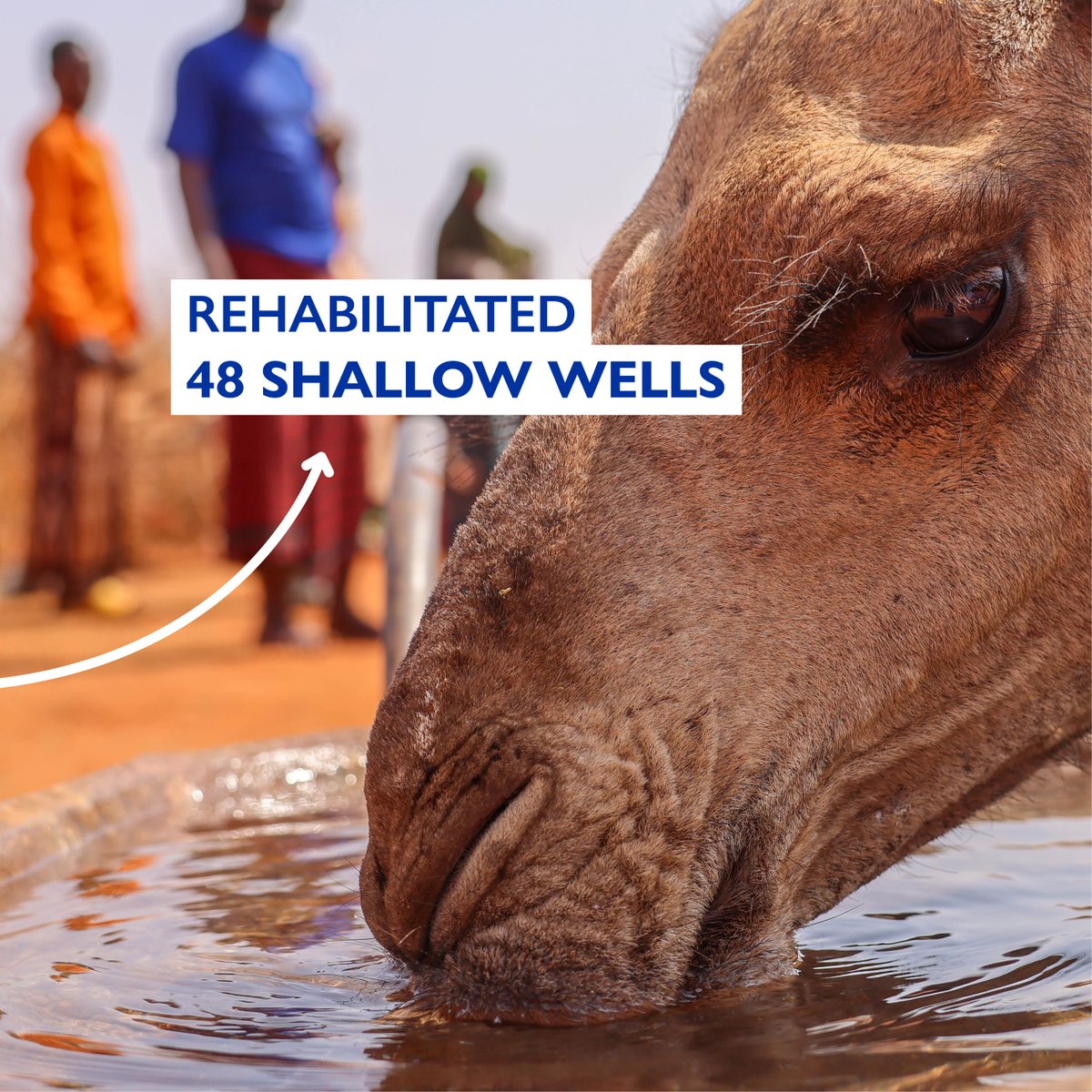 iom_somalia's tweet photo. When water reaches every home, stability, dignity and hope grow.

In #Somalia, drought-driven water shortages are forcing families to move in search of survival.

IOM is delivering life-saving WASH support while investing in long-term water solutions.

#WorldWaterDay2026 #WWD2026 https://t.co/br0dATr7P9