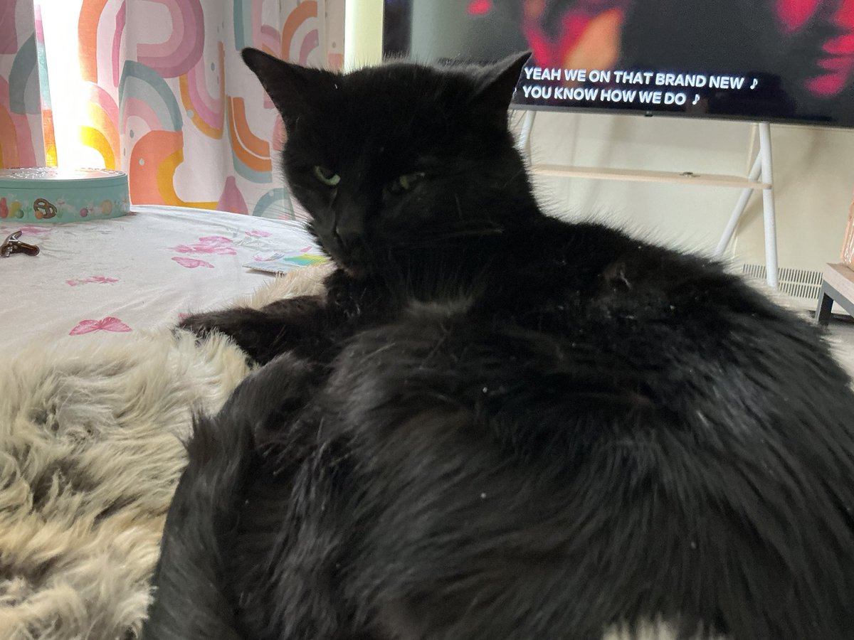 Dr Colette Balmain ⁷ tweet media