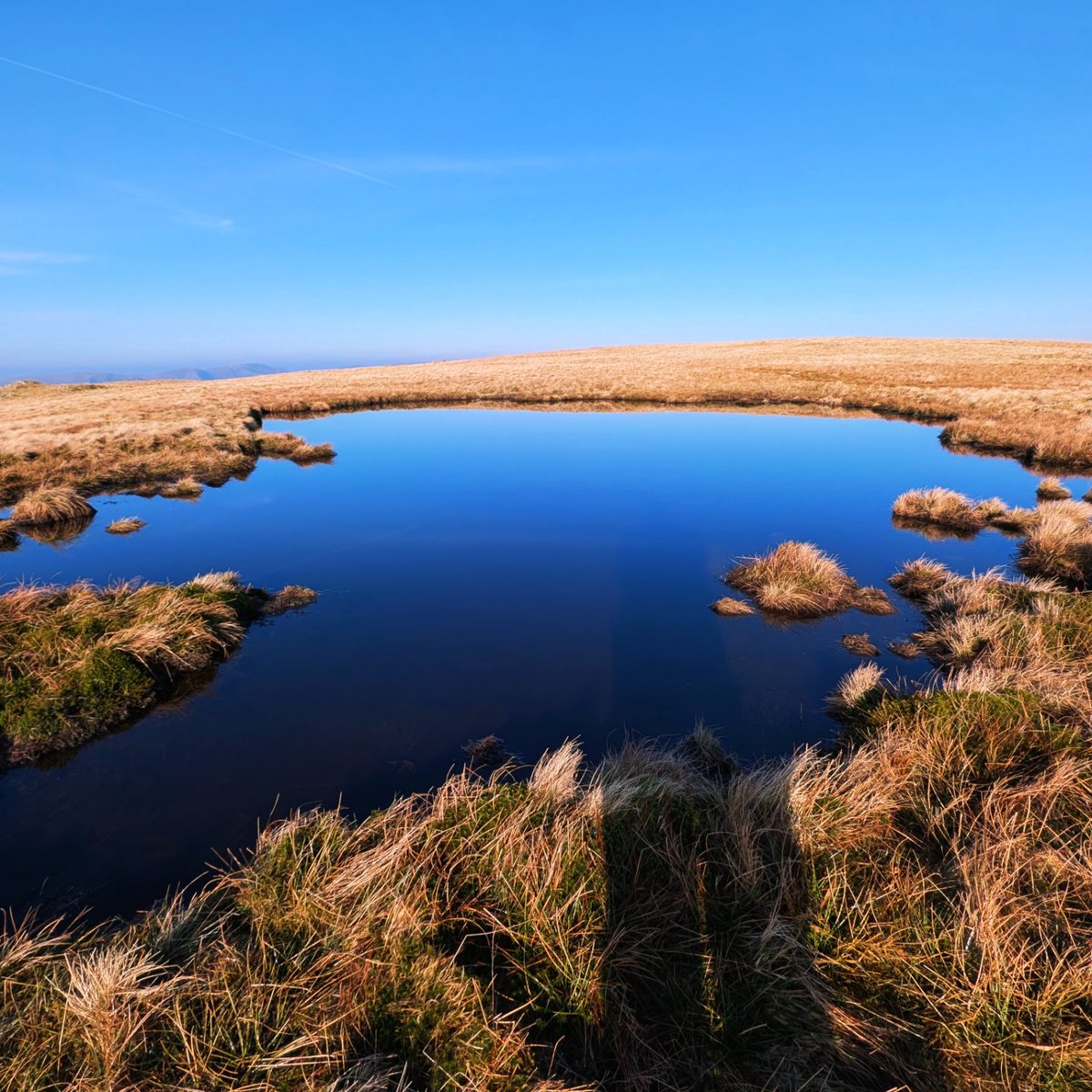 LakesPaul tweet media