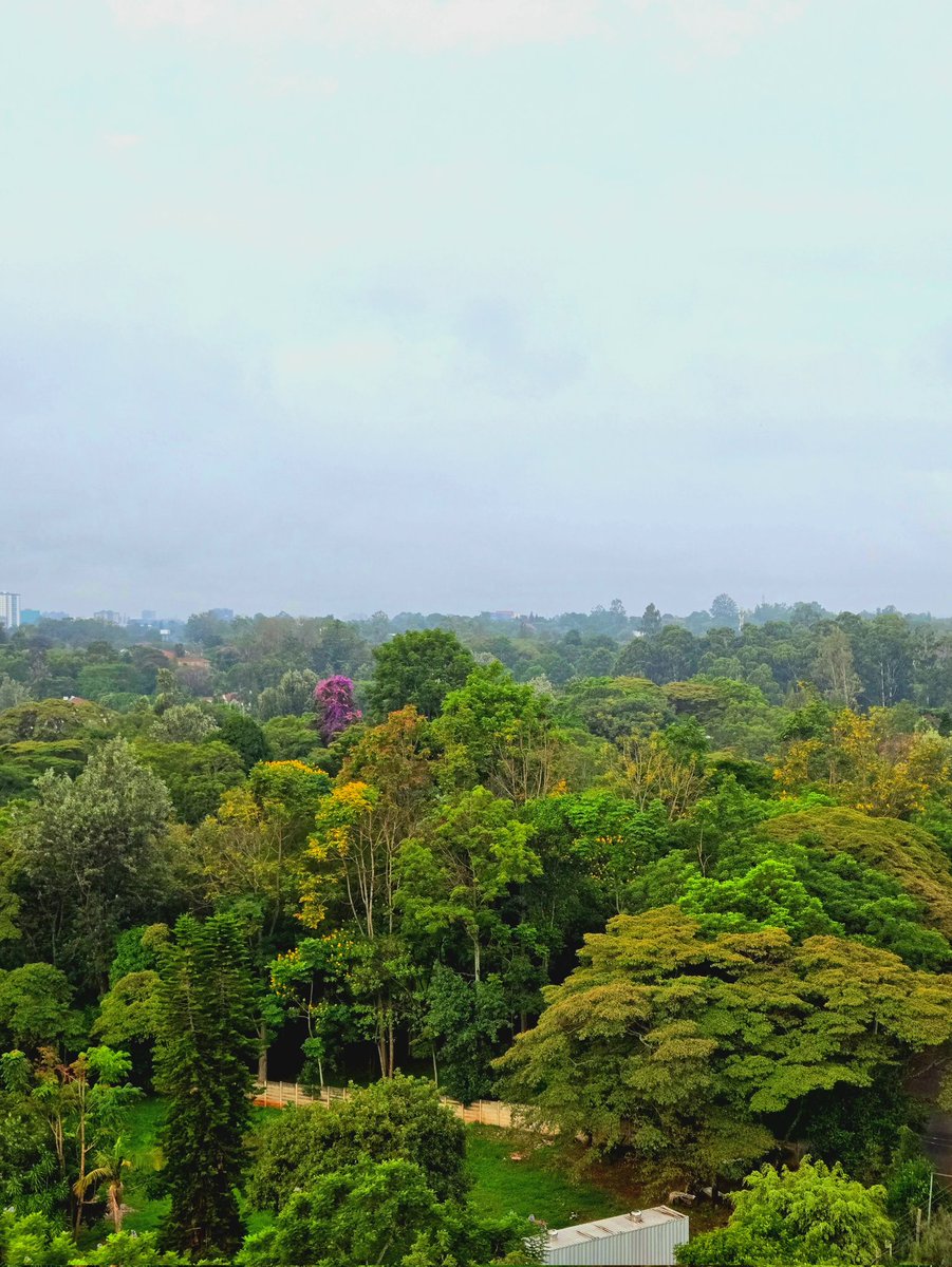 Moses Kemibaro tweet media