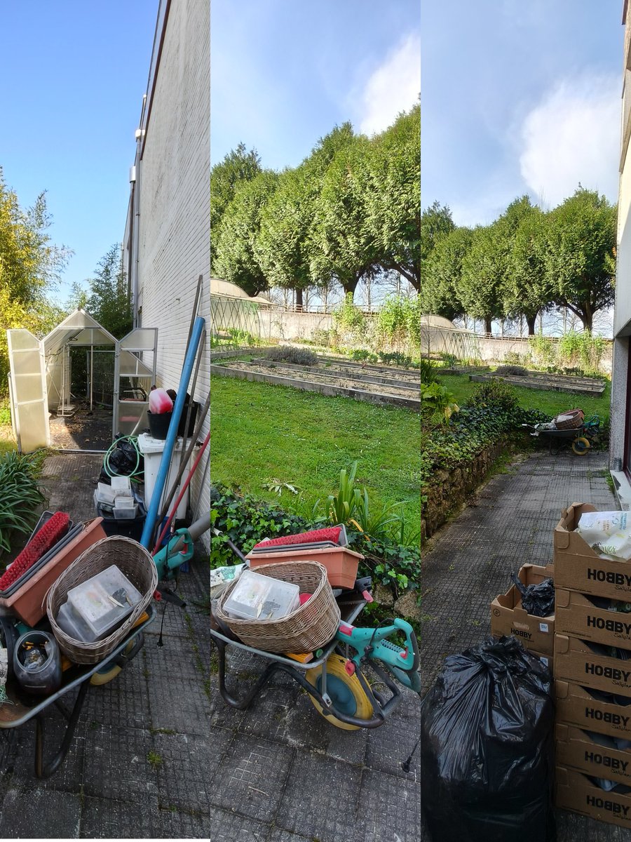 Ricardo FG tweet media