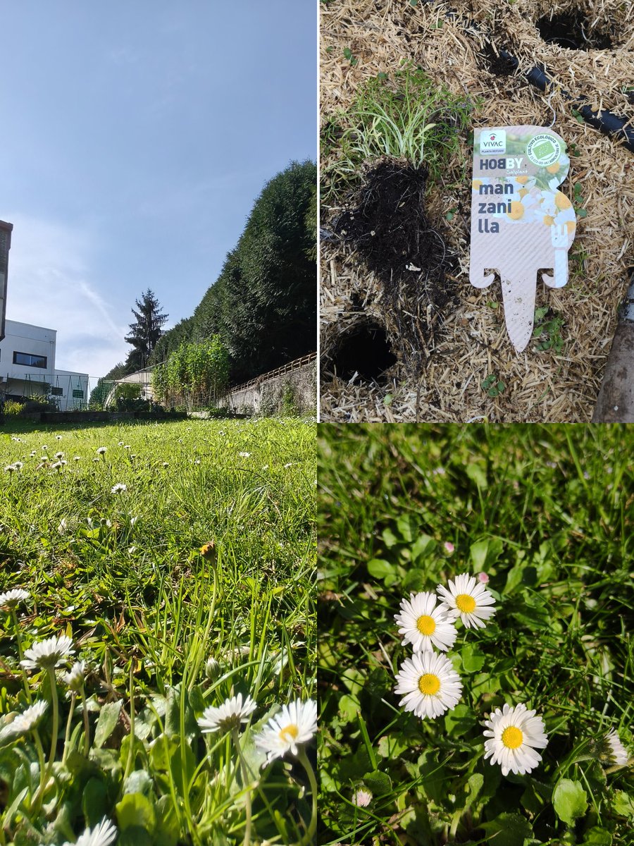 Ricardo FG tweet media