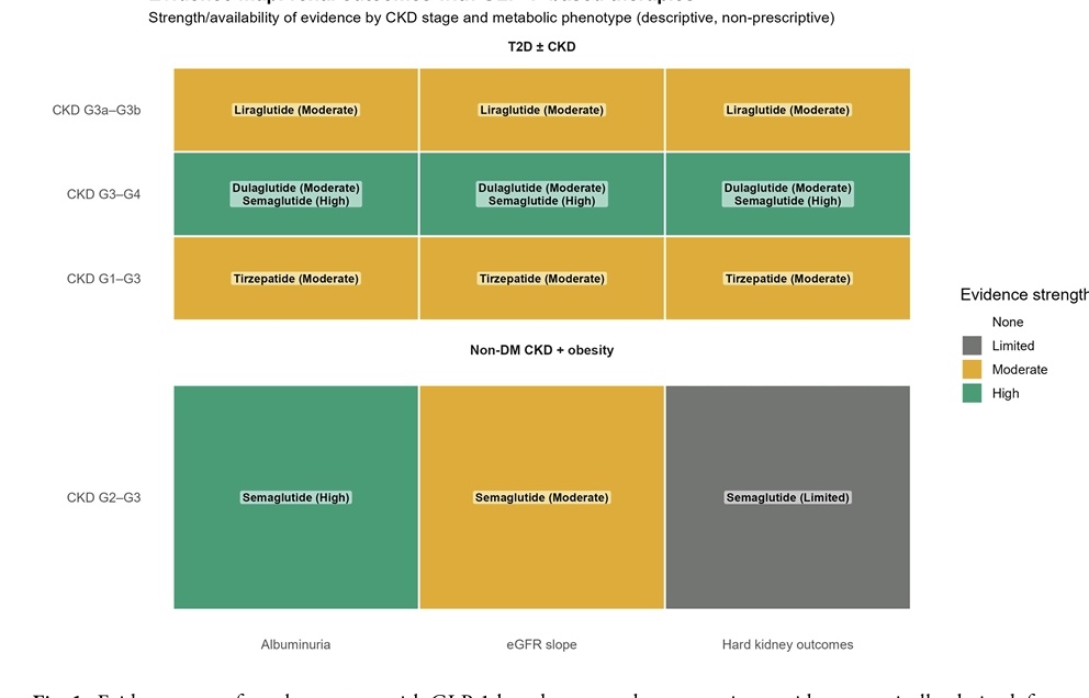 Marcos Gamboa tweet media