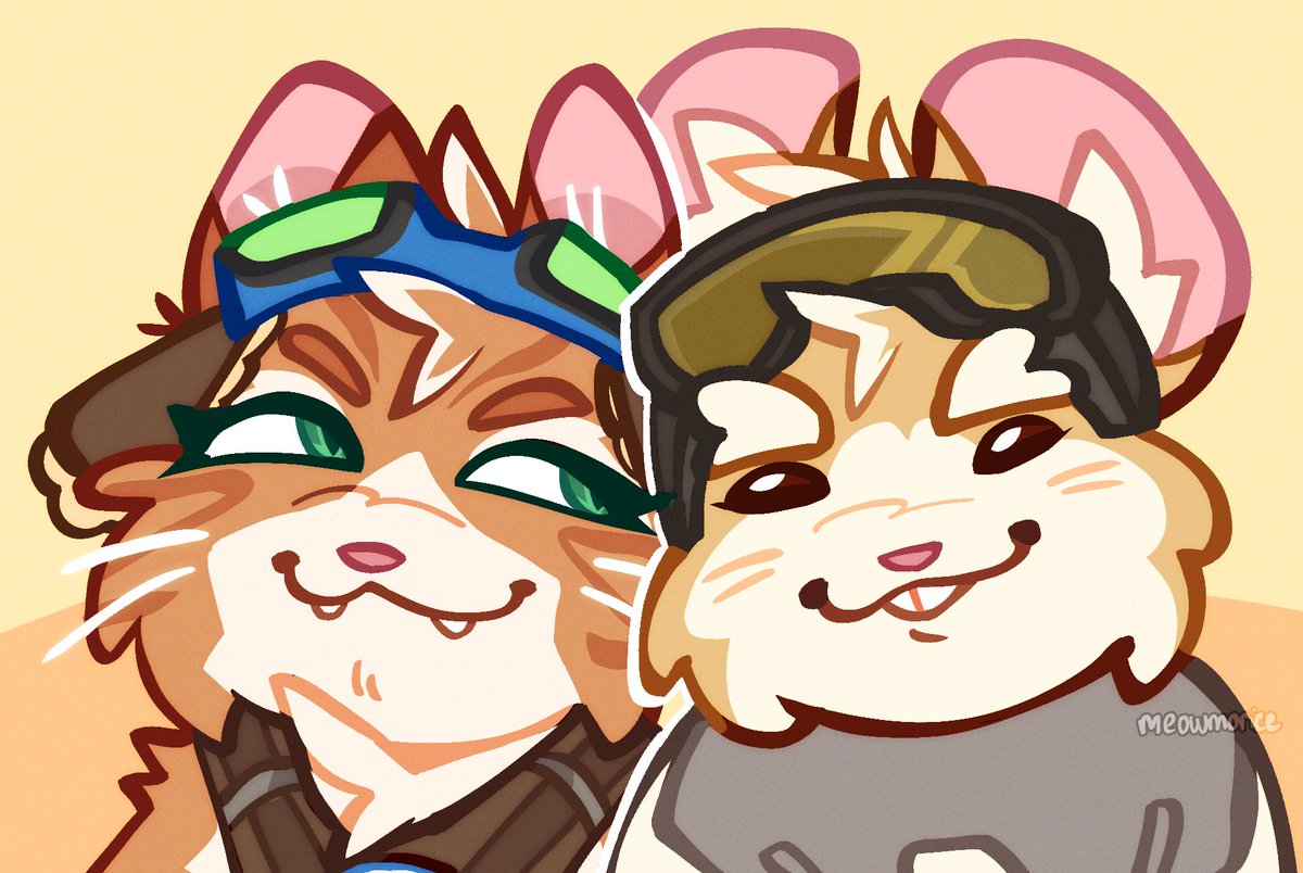 meow 🐱 tweet media