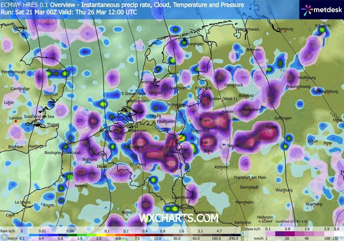 Wouter van Bernebeek tweet media
