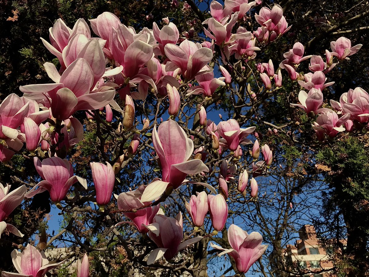 Hannah Taylor tweet media