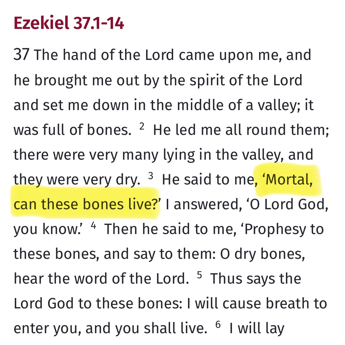 Marcus Walker tweet media