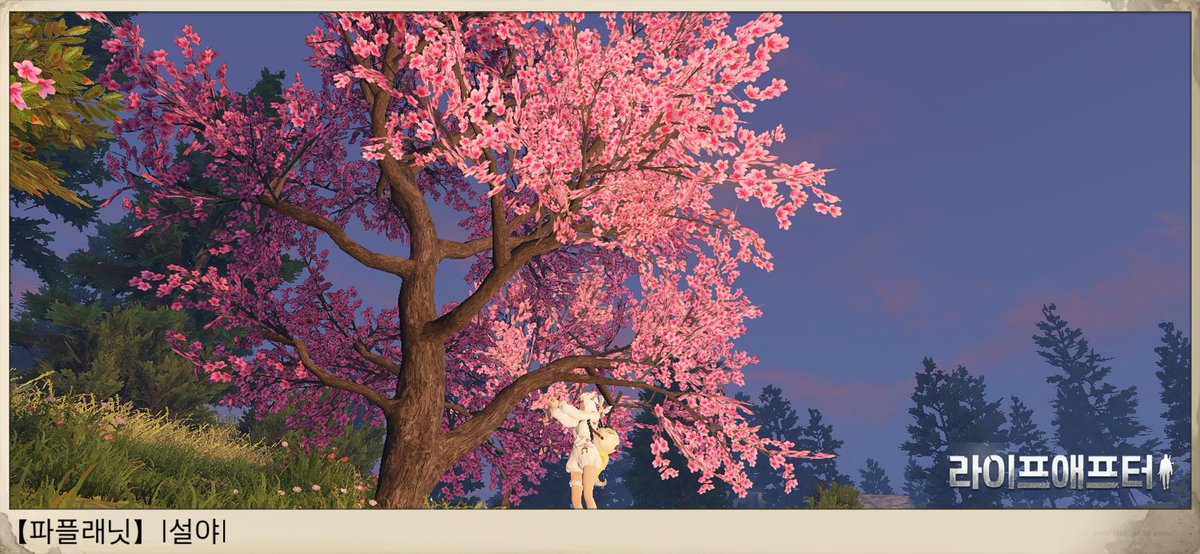 뱁설야🔶️🪶🐹 tweet media