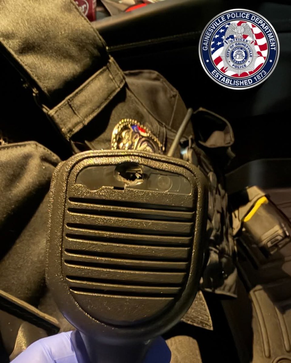 Amy Leigh tweet media