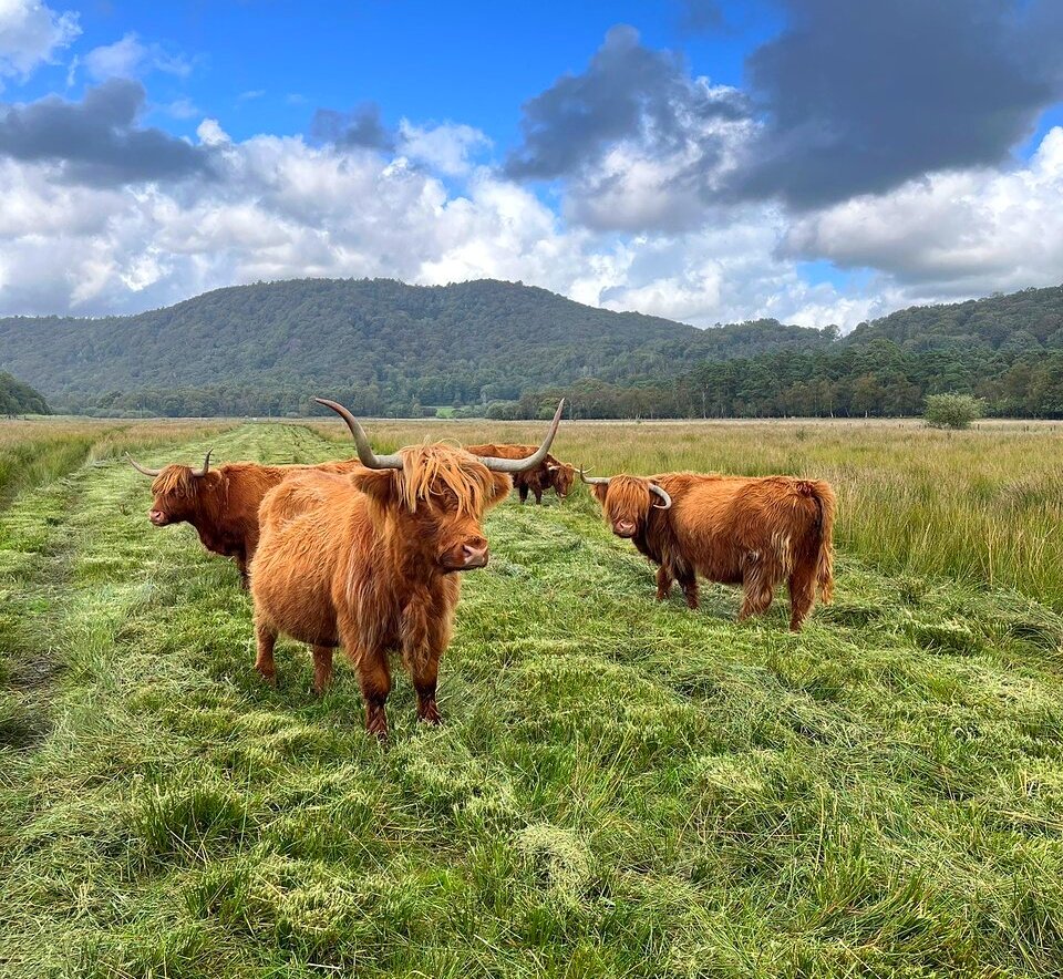 Sama Hoole tweet media