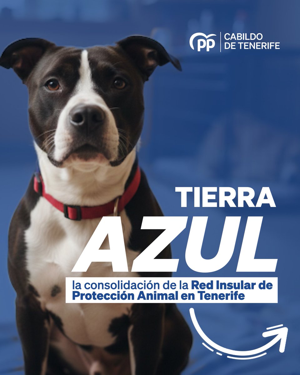 Grupo PP Cabildo de Tenerife tweet media