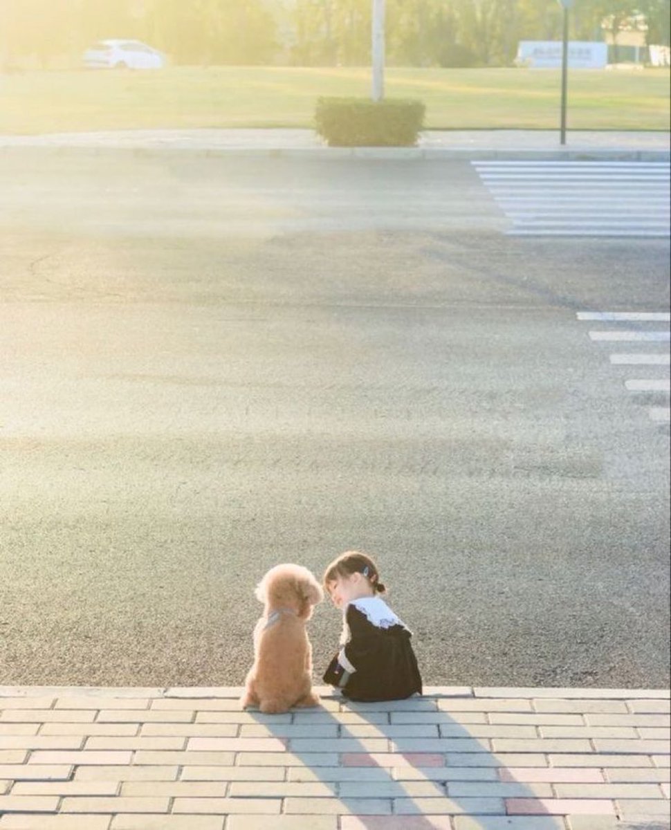 癒しの動物 tweet media