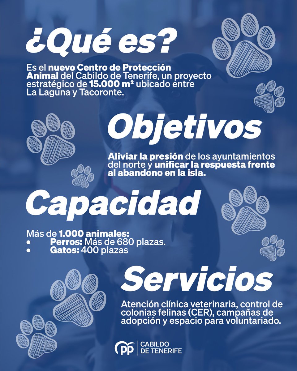 Grupo PP Cabildo de Tenerife tweet media