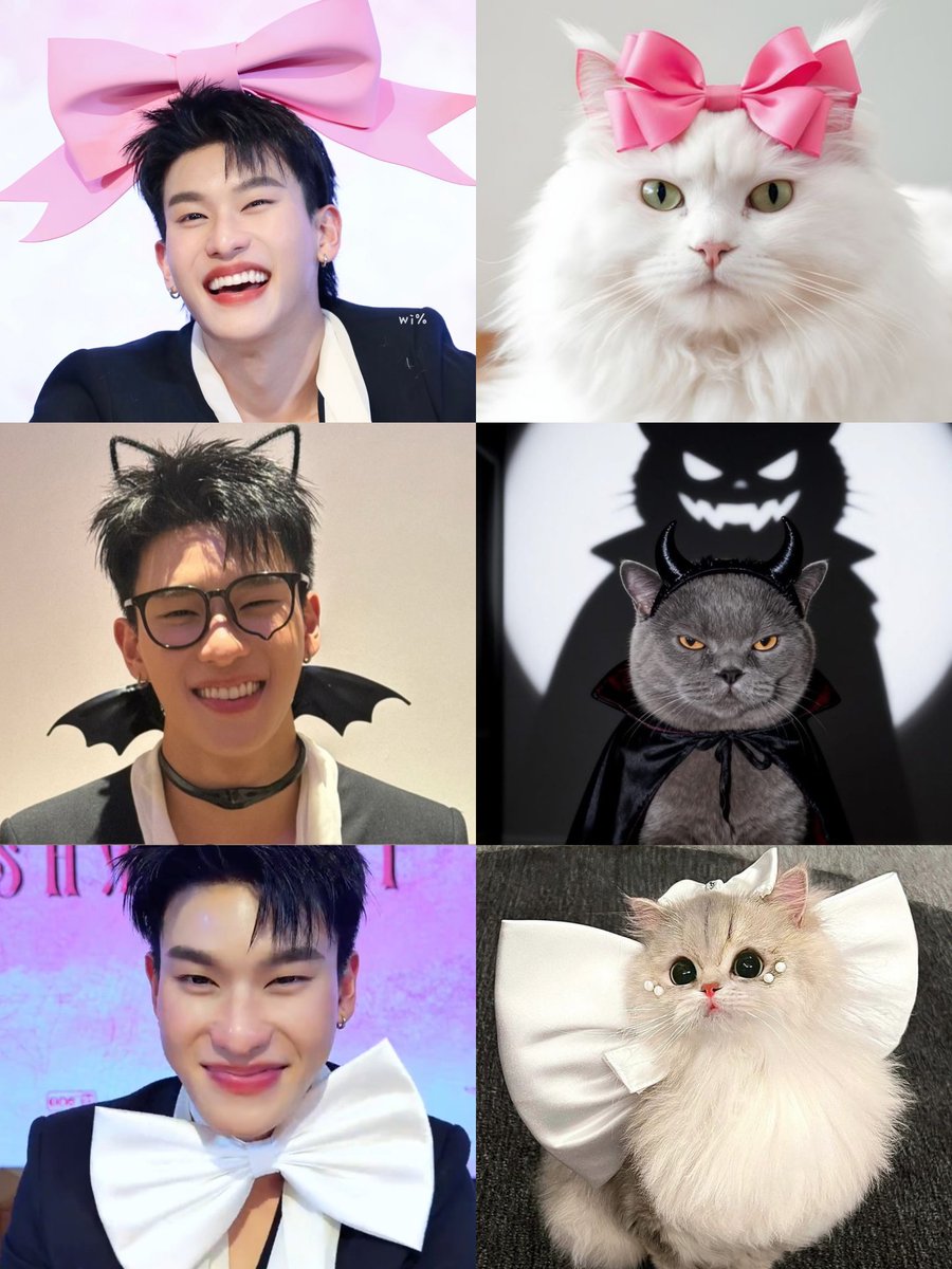 🅒🅐🅝🅞🅛🅐🅟🅐🅚🅞🅦🅛🌼 tweet media