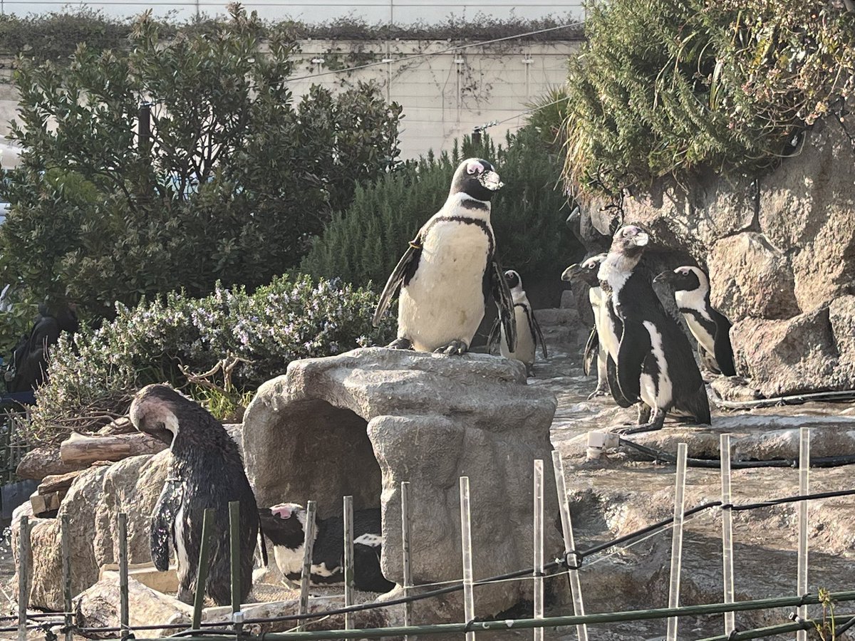 佐藤裕康|ジェイックの採用メディア事業部長 tweet media