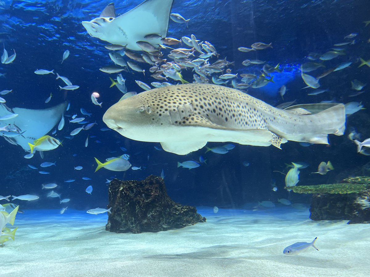 佐藤裕康|ジェイックの採用メディア事業部長 tweet media