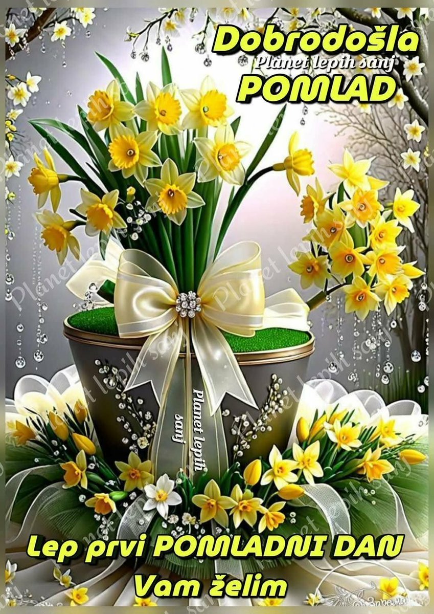 Branka Škrlj tweet media