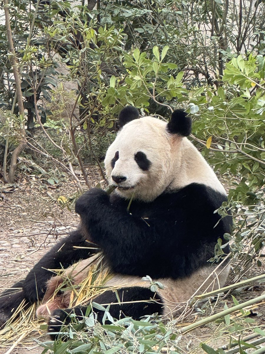 しょーこ tweet media