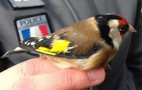 Préfecture de Police tweet media