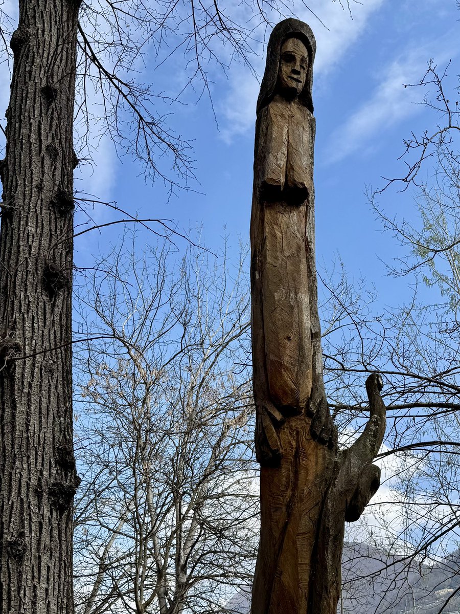 Bruno de Giusti tweet media