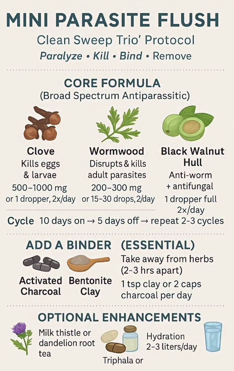 🦠 Mini Parasite Flush Protocol

Your gut is home to trillions of microbes—but sometimes unwanted guests can disrupt digestion, energy, and overall balance.

This Clean Sweep Trio is a traditional herbal approach used to support the body when addressing unwanted parasites.

🌿