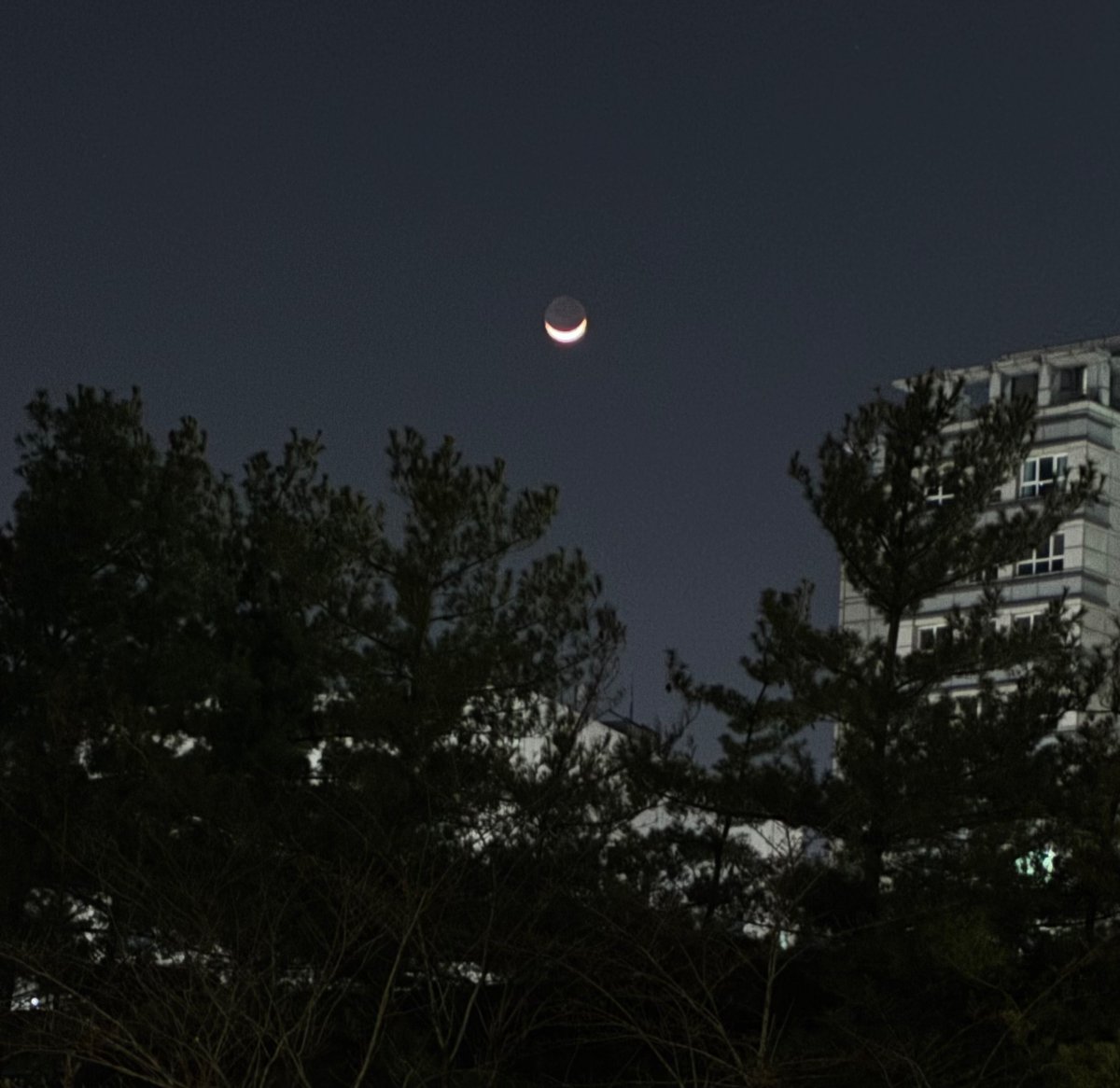 붉은청어 tweet media