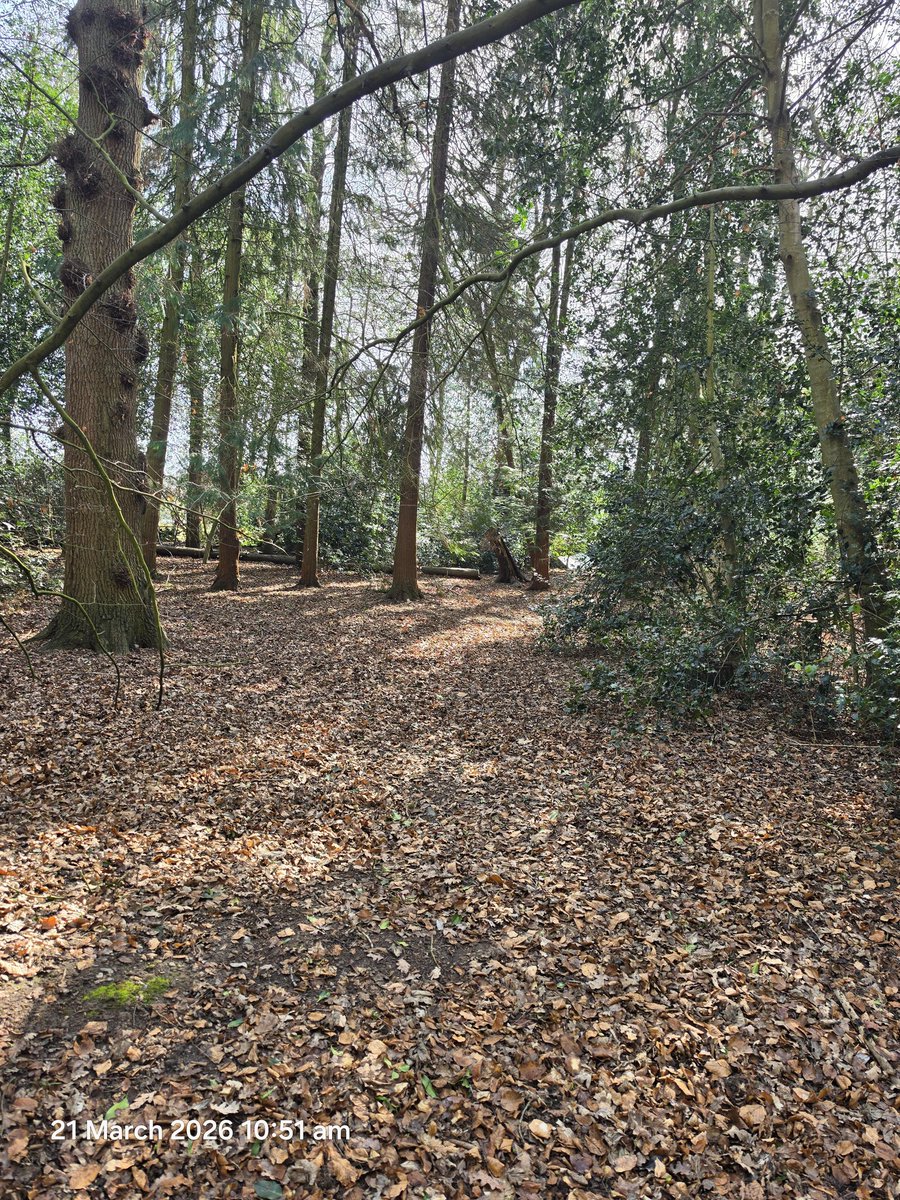 ditty85's tweet photo. Few pics from dog walk this morning. Spring has officially sprung. https://t.co/xvsh36xVfr
