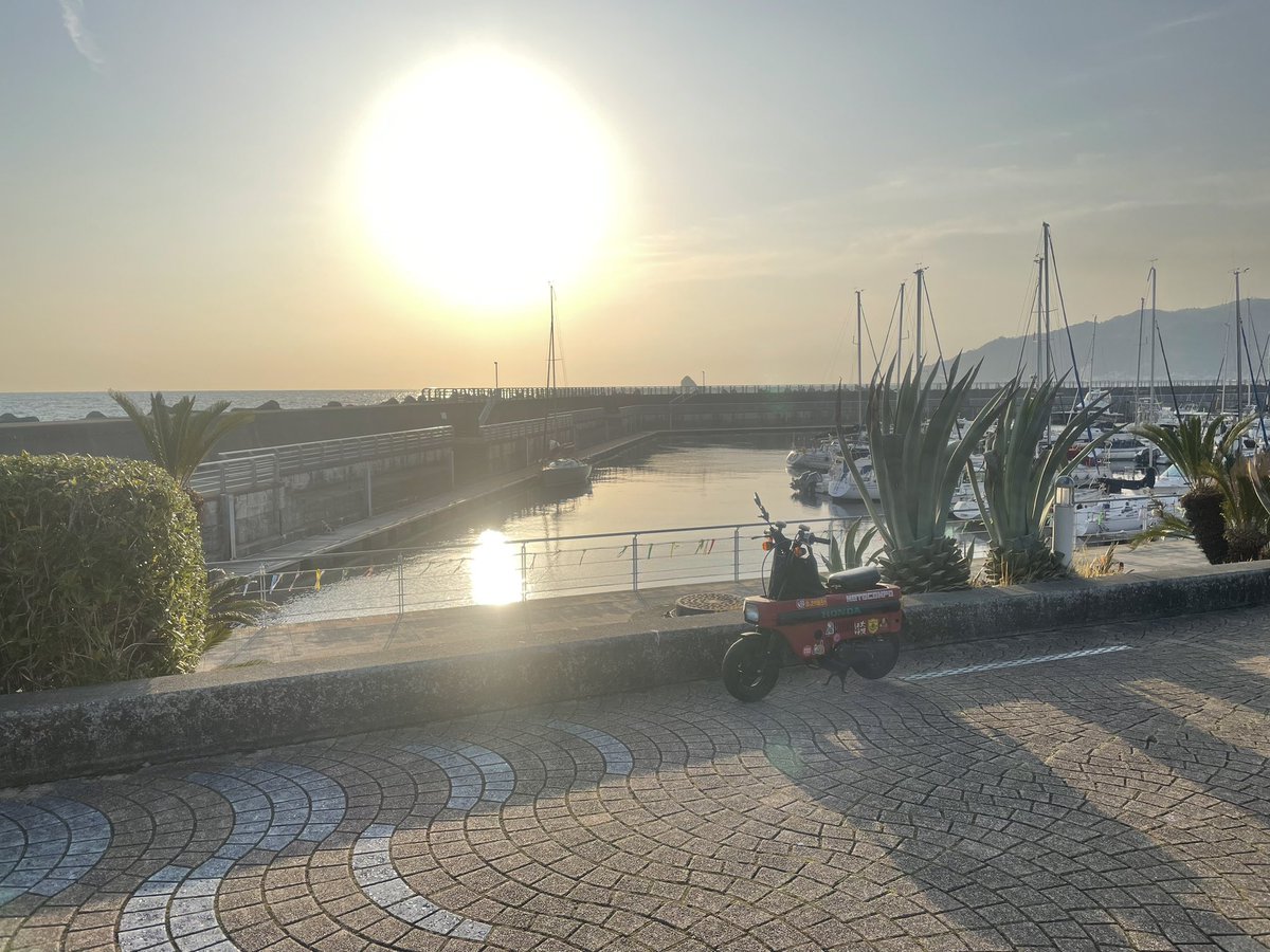 おっさんΦ tweet media