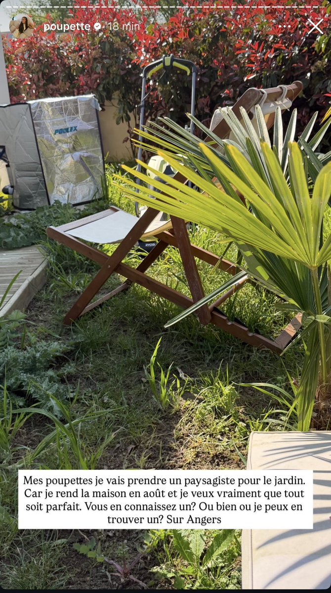 korealos 🌼 tweet media