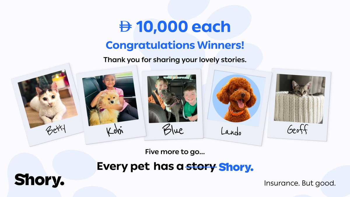 Shory Insurance 🇦🇪 tweet media