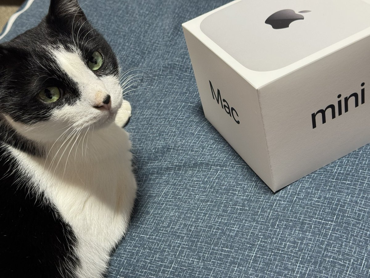 真下正樹 tweet media