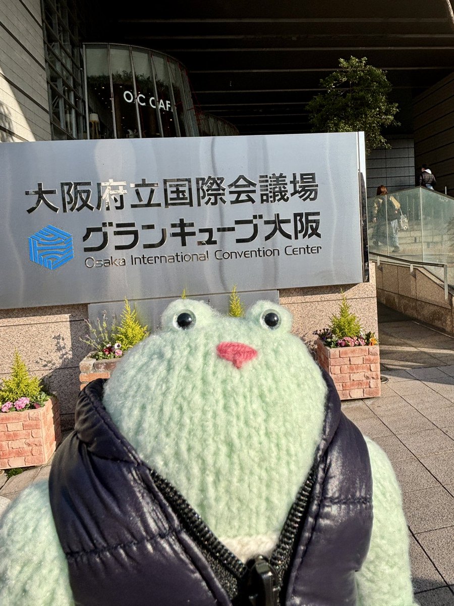 MRu510's tweet photo. マッチョなカエルと再始動。
🎸

#レミオロメン
#reuniontour2026

\\ﾚﾐｵﾛﾒﾝｯｯ// https://t.co/Lw8FdzFvDJ
