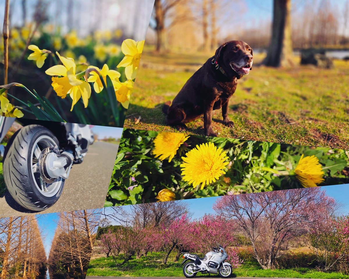 masaccio︎︎︎︎🪶 tweet media