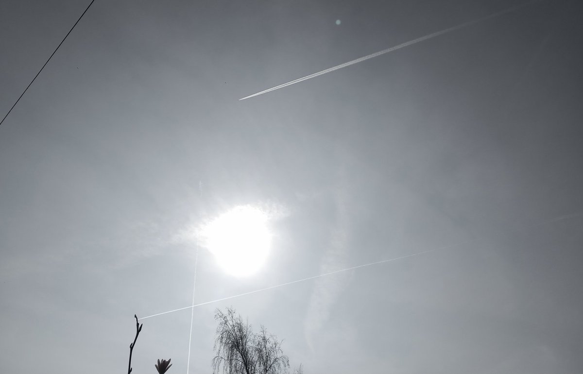 TheEndOfEverything tweet media