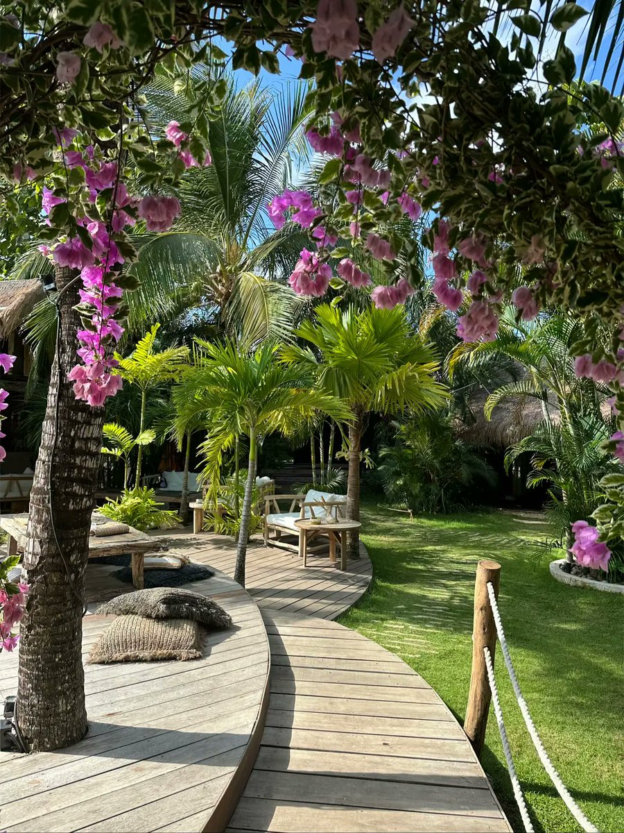 Appart Design tweet media