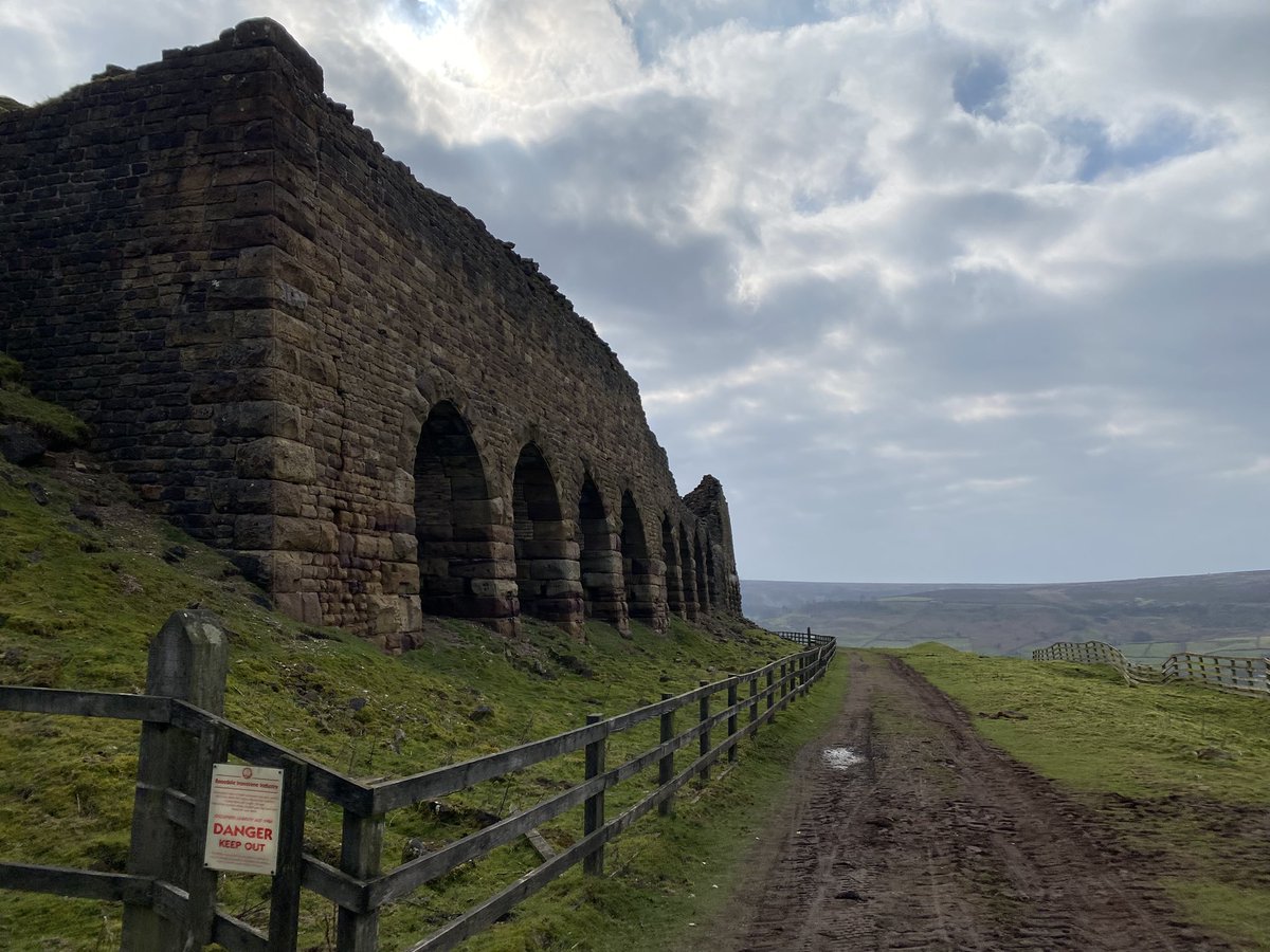 Wayne Preston tweet media