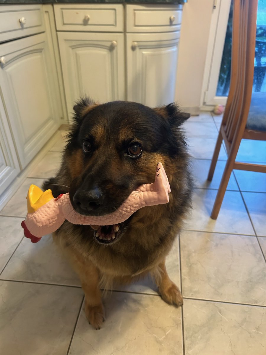 Marc Blaes tweet media