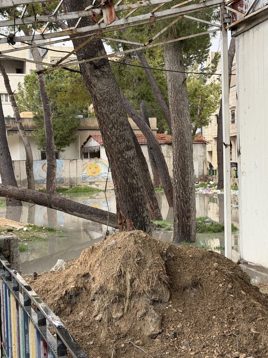 LAMA🇸🇾 tweet media